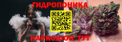 Альфа ПВП Канаш