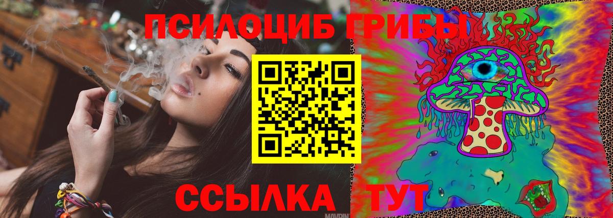 Краснокаменск  Псилоцибиновые грибы прущие грибы  Вход с VPN 